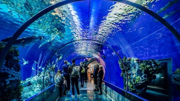 Antalya Tunnel Aquarium Tour 1