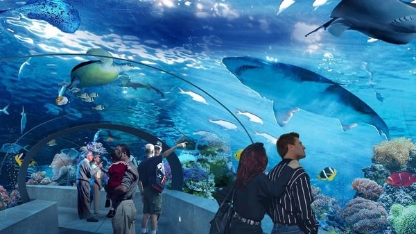 Antalya Tunnel Aquarium Tour 1