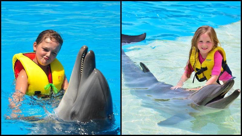 Antalya Swim With Dolphins