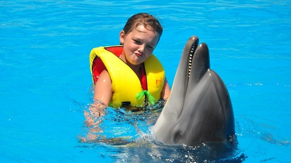 Antalya Swim with Dolphins