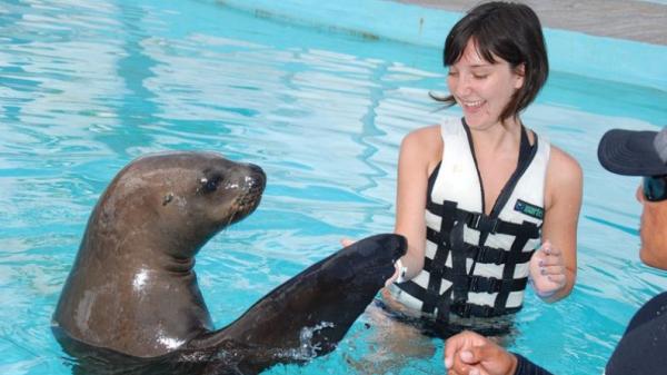 Alanya Swim with Dolphins