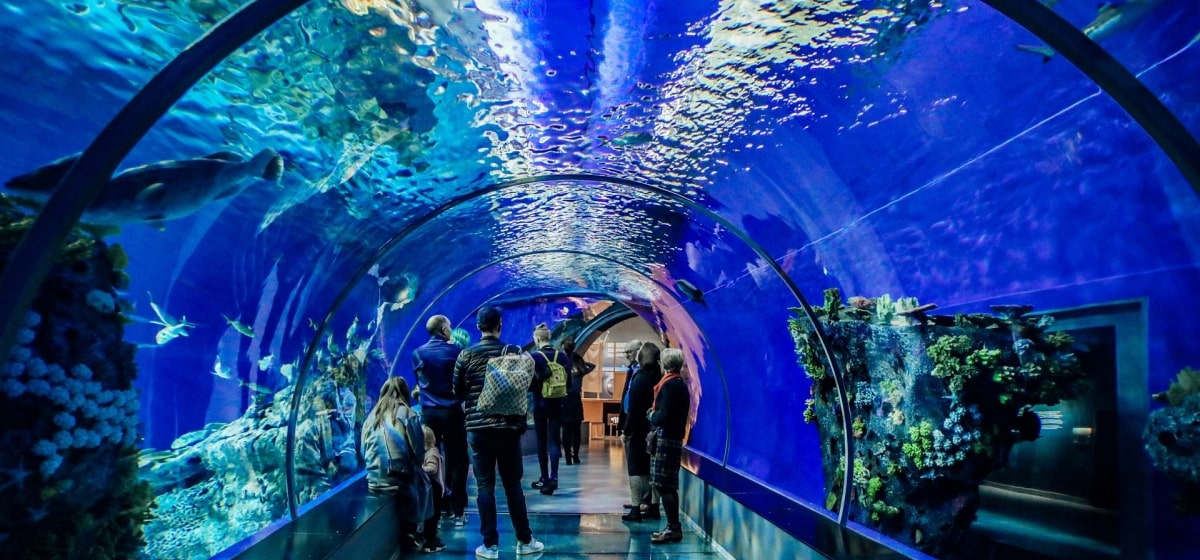 Antalya Aquarium Tour from Alanya World's Biggest Aquariums
