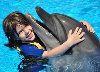 Belek Swim with Dolphins