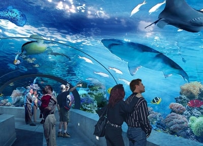 Belek Tunnel Aquarium Tour