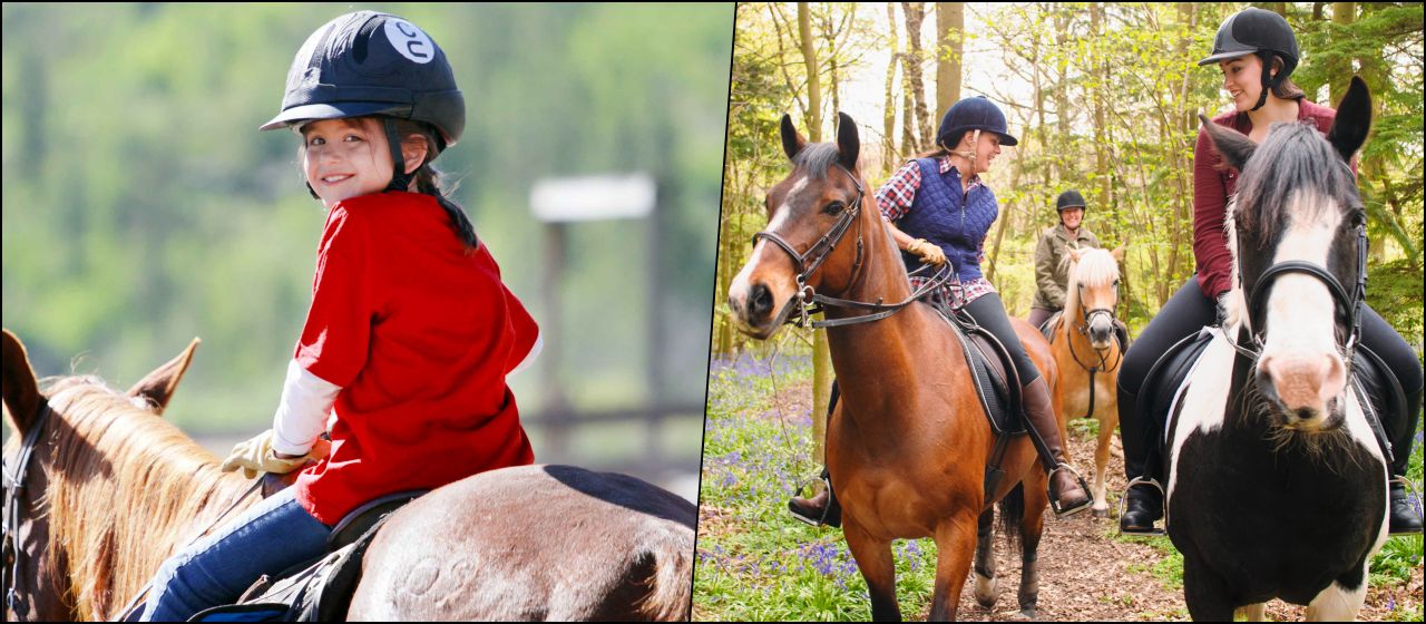 Istanbul Horse Riding Enjoy A Horseback Ride Get Involved