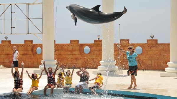 Kemer Dolphins Show