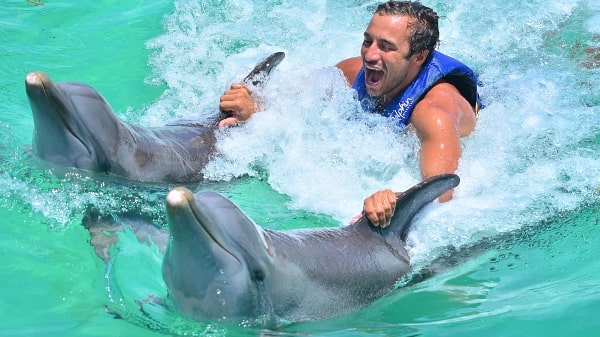 Kemer Swim with Dolphins