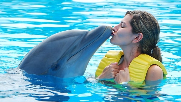 Kemer Swim with Dolphins