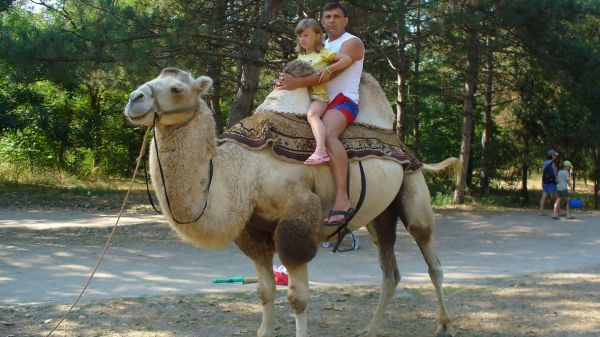 Fethiye Camel Ride