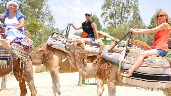 Fethiye Camel Ride